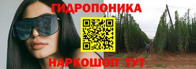 шишки Новоалтайск
