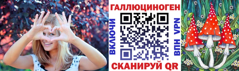 KRAKEN как зайти площадка клад Галлюциногенные грибы Psilocybine cubensis Благодарный
