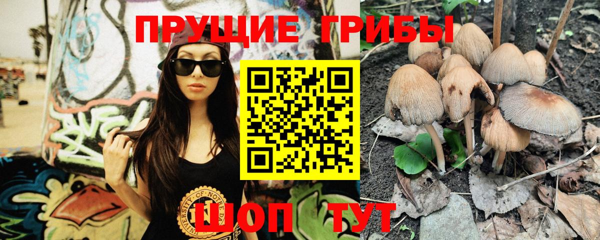 Псилоцибиновые грибы Magic Shrooms  Вход с VPN  Благодарный  Галлюциногенные грибы мухоморы 