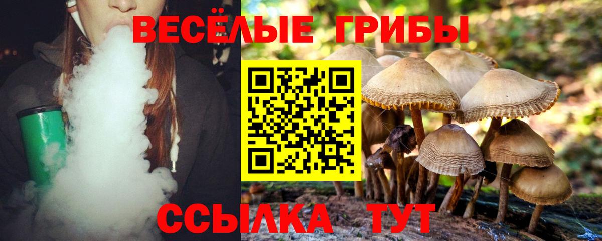 Галлюциногенные грибы мухоморы Благодарный